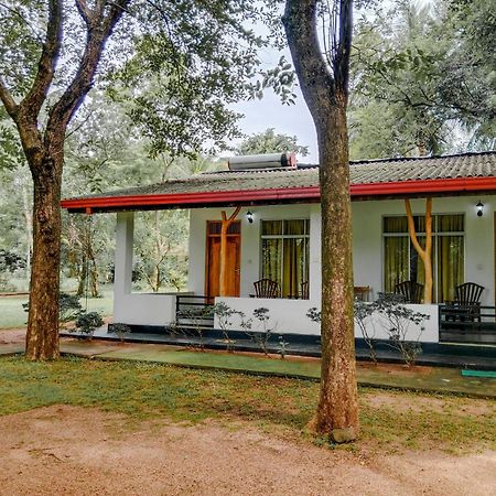Banana Rest Sigiriya Bed & Breakfast Екстериор снимка