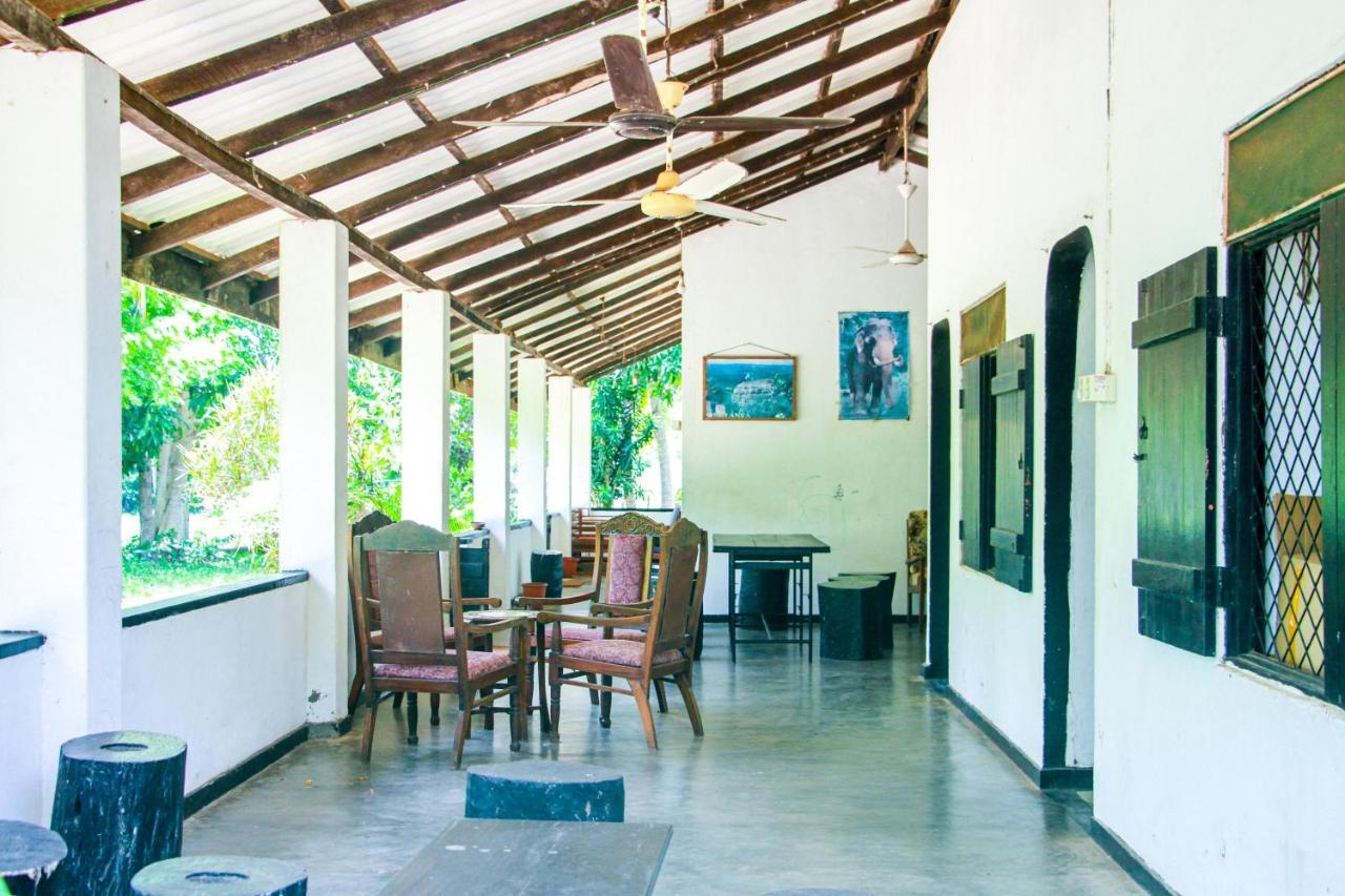 Banana Rest Sigiriya Bed & Breakfast Екстериор снимка
