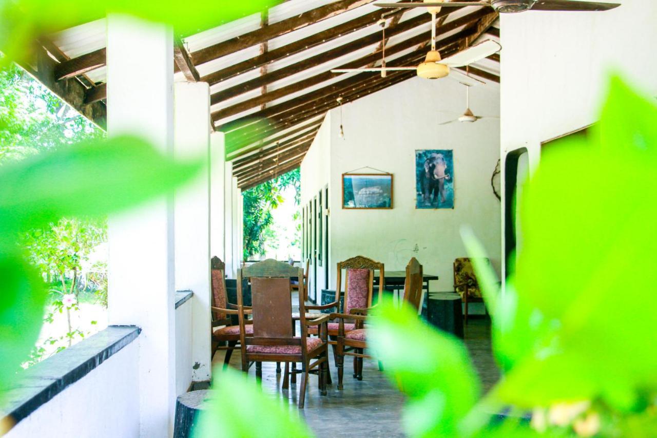 Banana Rest Sigiriya Bed & Breakfast Екстериор снимка