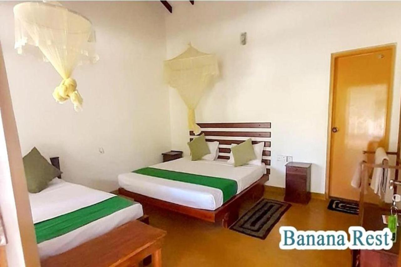 Banana Rest Sigiriya Bed & Breakfast Екстериор снимка