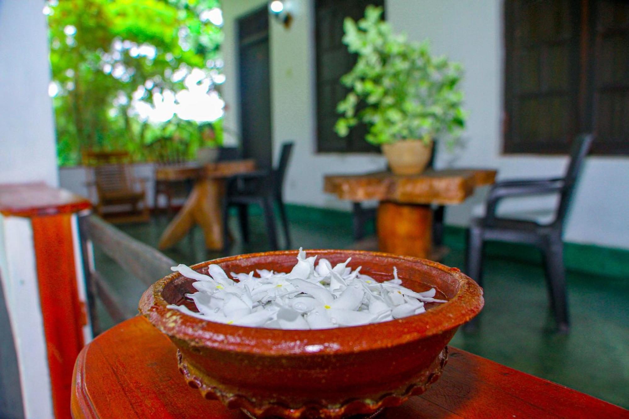 Banana Rest Sigiriya Bed & Breakfast Екстериор снимка