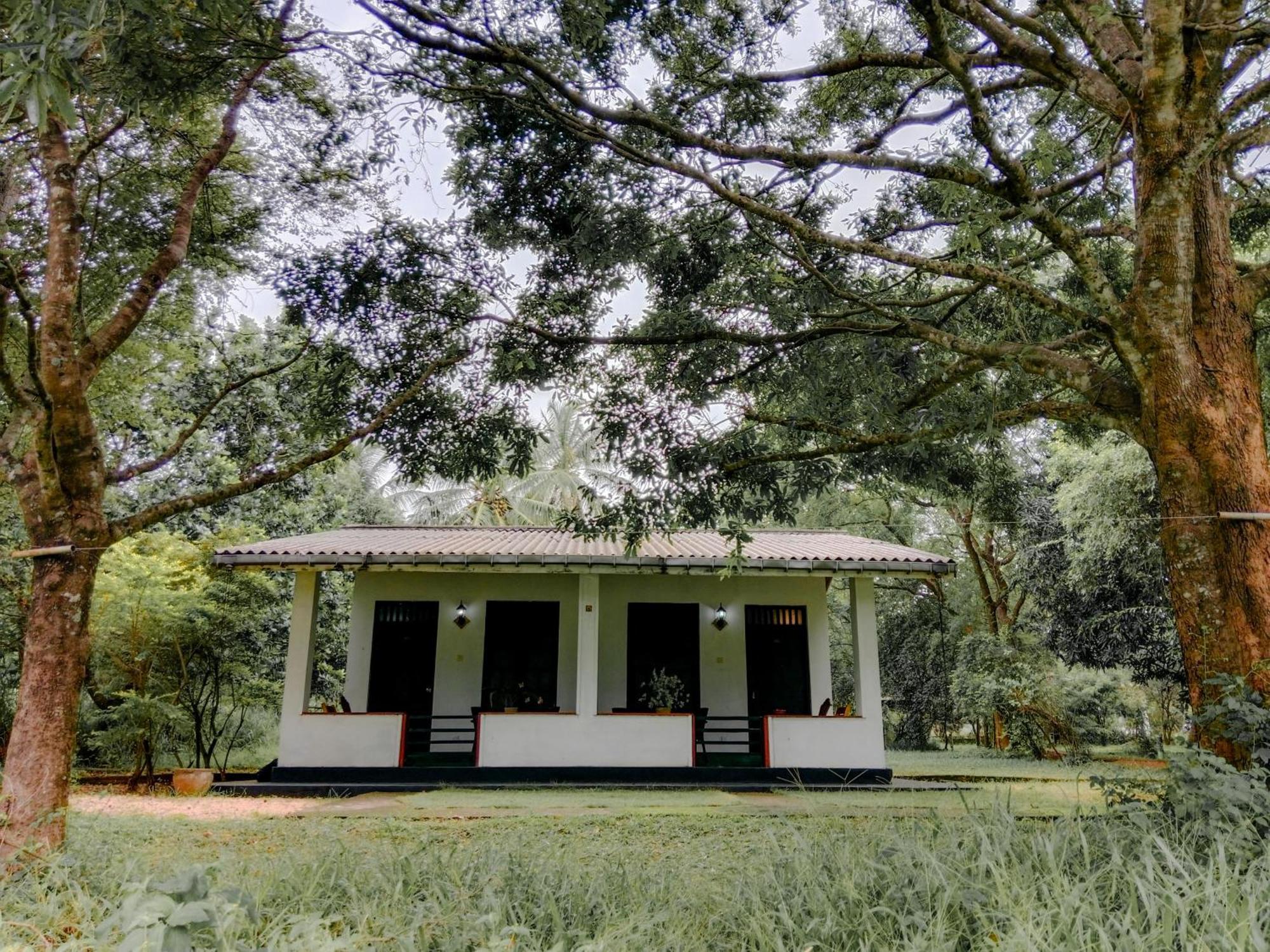 Banana Rest Sigiriya Bed & Breakfast Екстериор снимка
