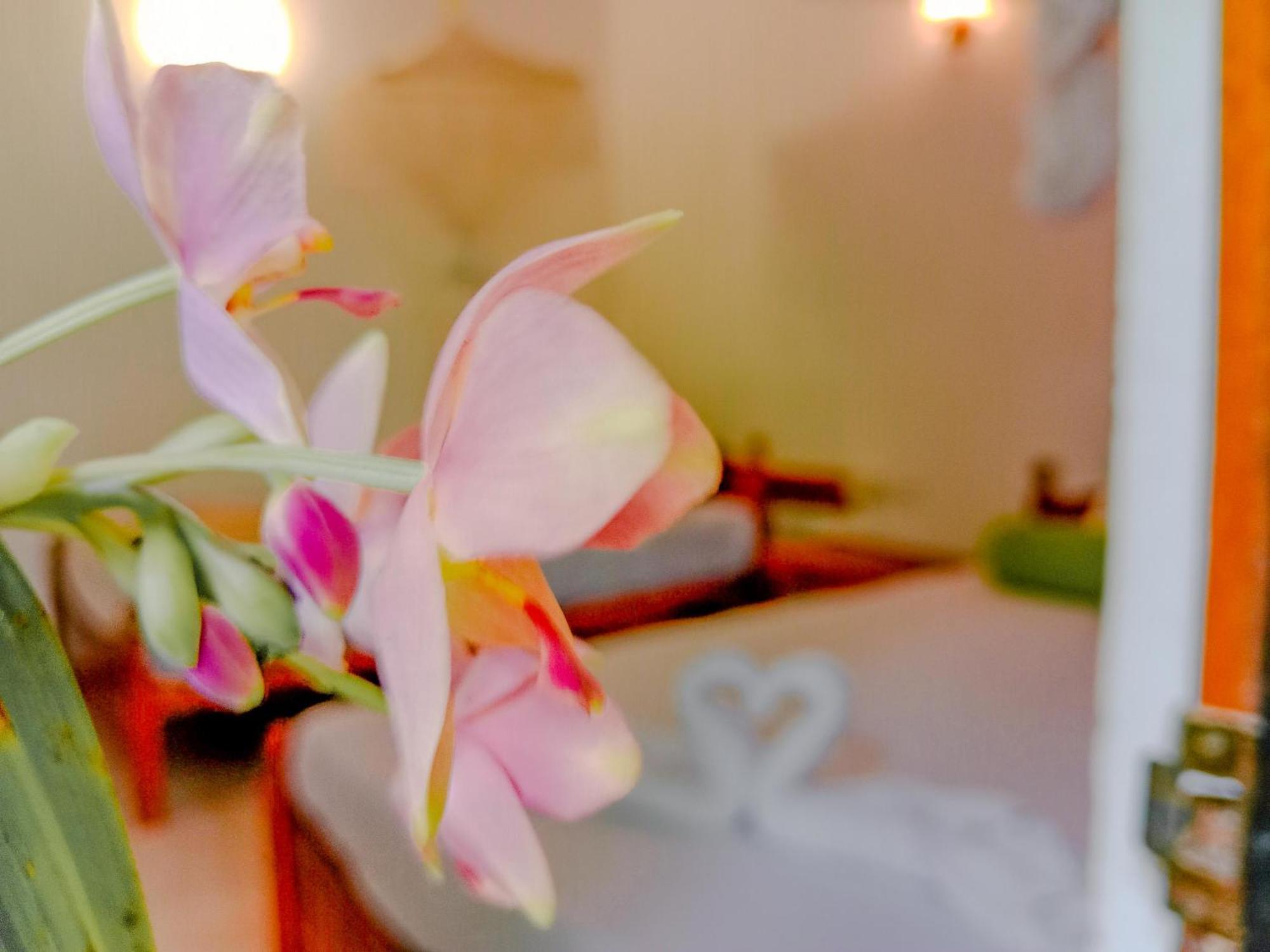 Banana Rest Sigiriya Bed & Breakfast Екстериор снимка