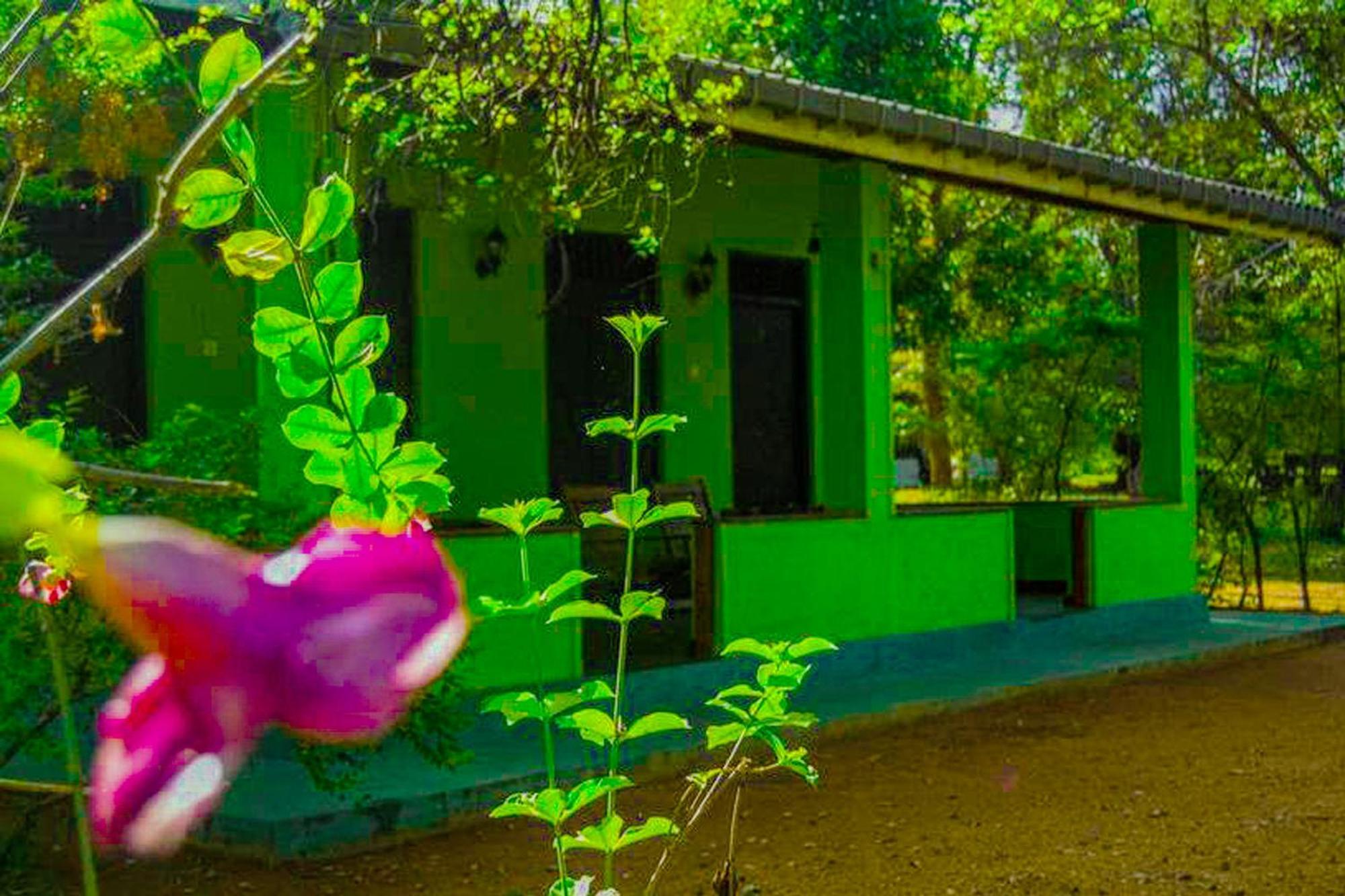Banana Rest Sigiriya Bed & Breakfast Екстериор снимка