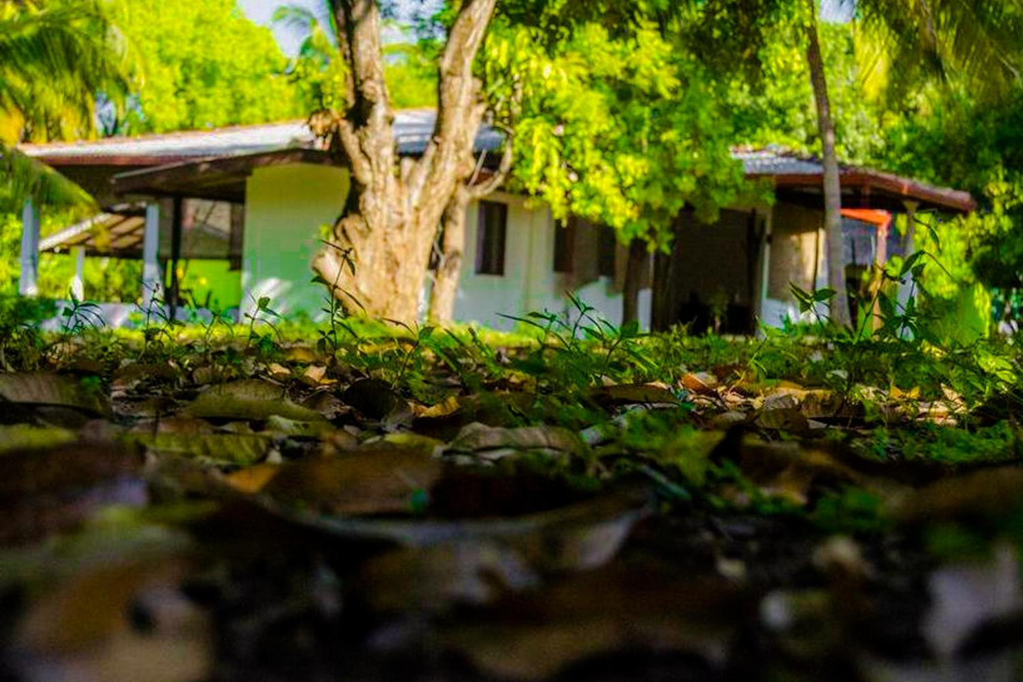 Banana Rest Sigiriya Bed & Breakfast Екстериор снимка