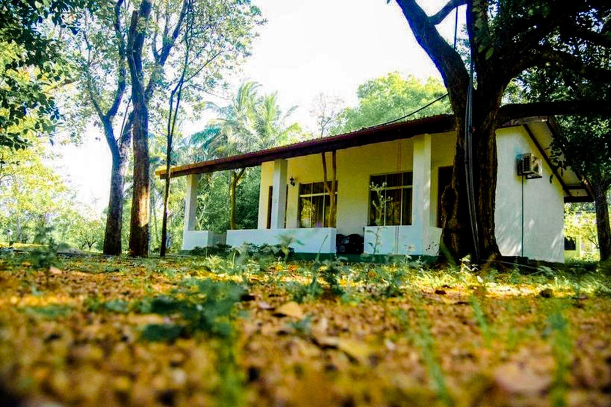 Banana Rest Sigiriya Bed & Breakfast Екстериор снимка