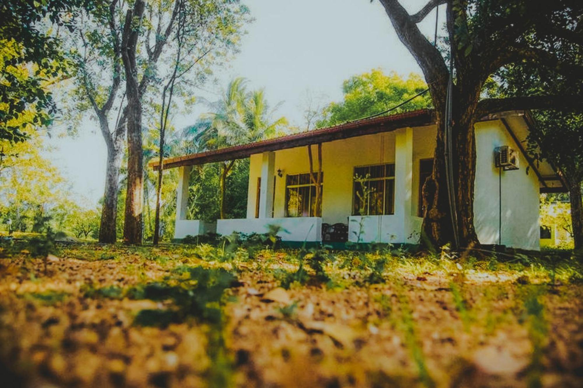 Banana Rest Sigiriya Bed & Breakfast Екстериор снимка