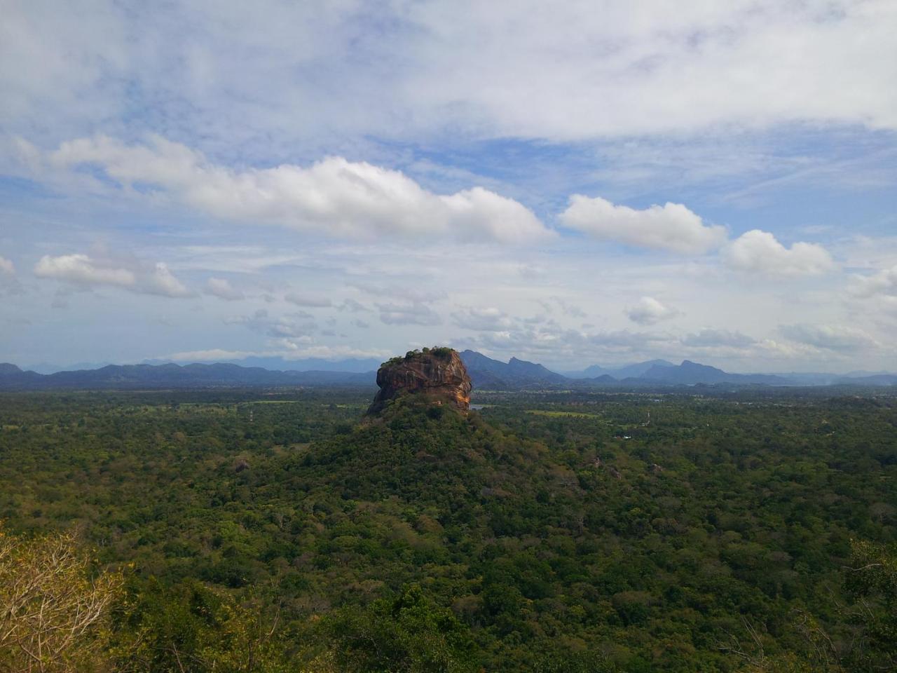 Banana Rest Sigiriya Bed & Breakfast Екстериор снимка
