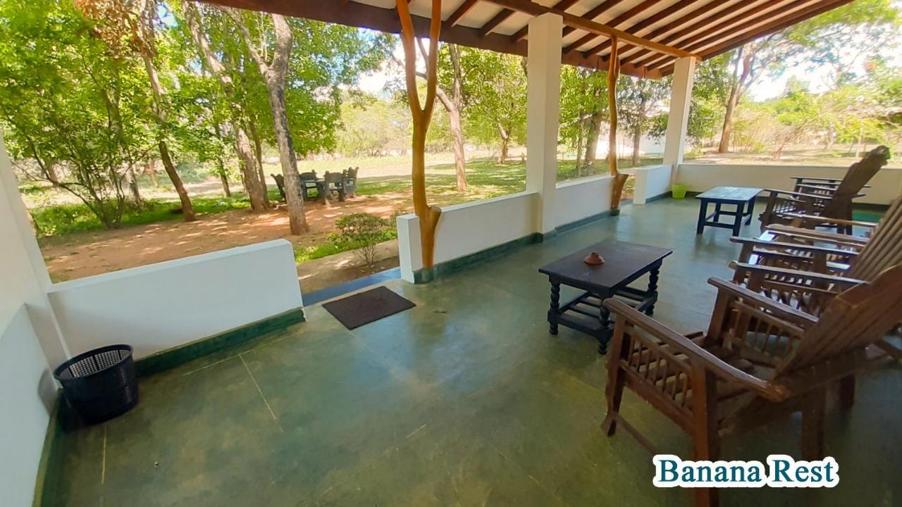 Banana Rest Sigiriya Bed & Breakfast Екстериор снимка