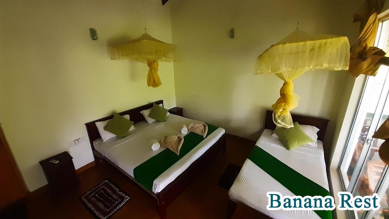 Banana Rest Sigiriya Bed & Breakfast Екстериор снимка