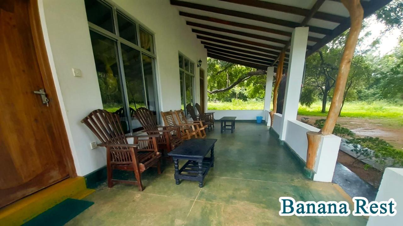 Banana Rest Sigiriya Bed & Breakfast Екстериор снимка