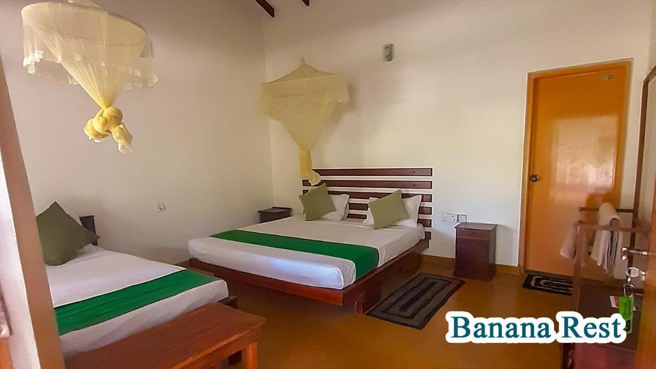 Banana Rest Sigiriya Bed & Breakfast Екстериор снимка